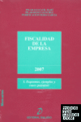Fiscalidad de la empresa, 2007