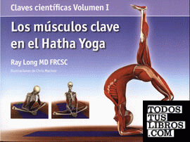 Los músculos clave en el hatha yoga