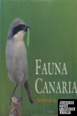 Fauna Canaria, secretos de la evolución