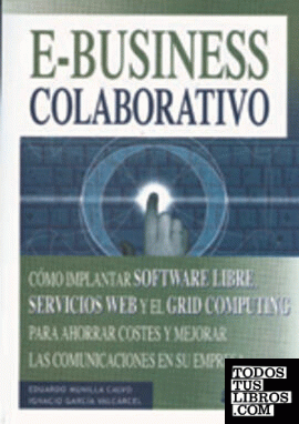 e-business colaborativo