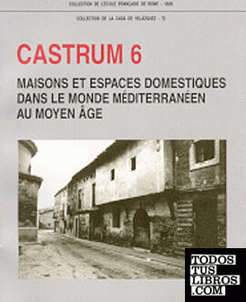 Castrum 6