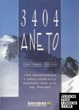 3404 Aneto