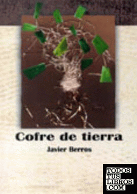 COFRE DE TIERRA