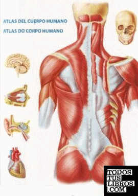 Atlas del cuerpo humano