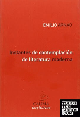 INSTANTES DE CONTEMPLACIÓN DE LITERATURA MODERNA
