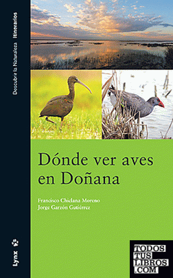 Dónde ver Aves en Doñana