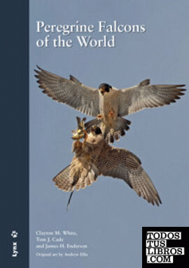 Peregrine Falcons of the World