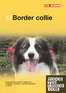 El Border collie