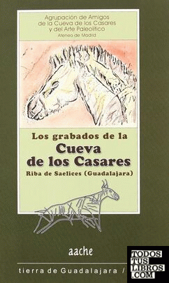 Grabados de la Cueva de los Casares, Riba de Saelices (Guadalajara)