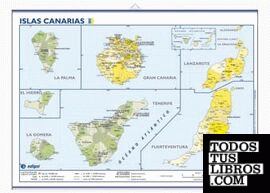 Canarias, político