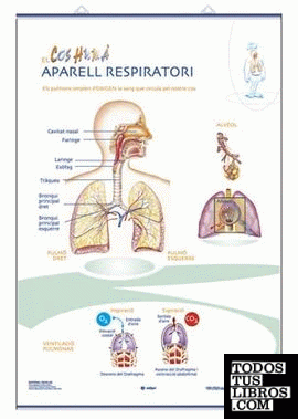 Aparell Respiratori / Aparell Circulatori
