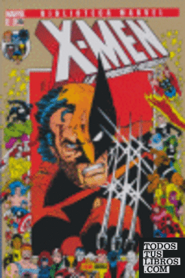 X-Men, 25
