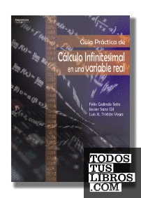 Guía práctica de cálculo infinitesimal en una variable real