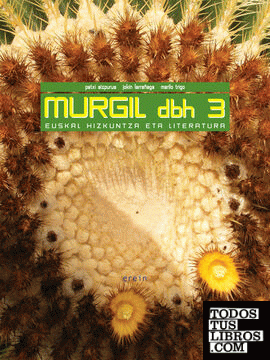 Murgil DBH 3