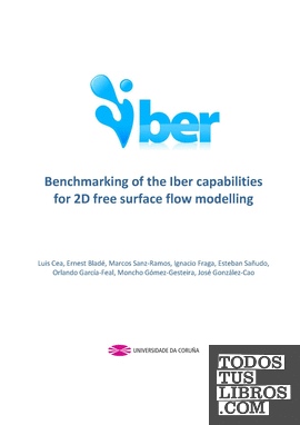 Benchmarking of the Iber capabilities for 2D free surface flow modelling