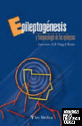 Epileptogénesis y fisiopatología de las epilepsias