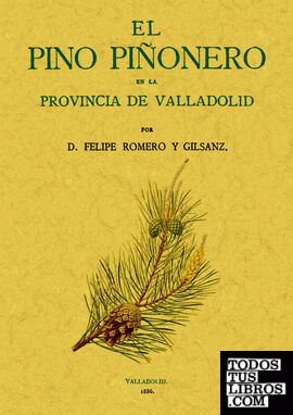 El pino piñonero en la provincia de Valladolid