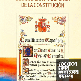 Responsabilidad jurídica del gobierno y defensa de la Constitución