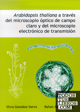 Arabidopsis Thaliana a través del microscopio óptico de campo claro y del microscopio electrónico de transmisión