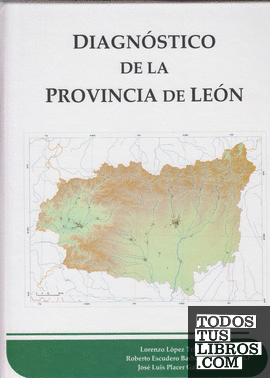 Diagnóstico de la provincia de León