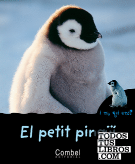 El petit pingüí