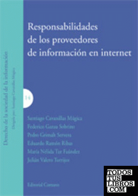 RESPONSABILIDAD DE LOS PROVEEDORES DE INFORMACIÓN EN INTERNET.