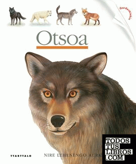 Otsoa