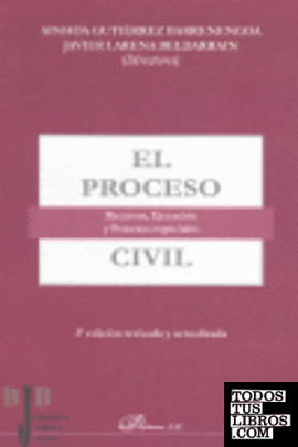 El Proceso Civil