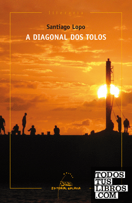 A diagonal dos tolos (Premio de Narrativa Repsol 2014)
