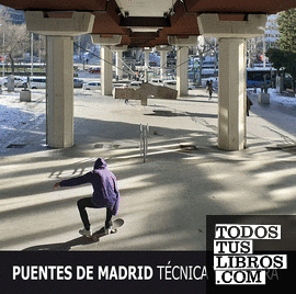 Puentes de Madrid. Técnica y cultura
