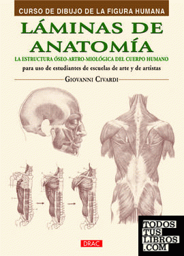 Láminas de anatomía