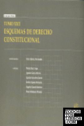 Tomo XXII Esquemas de Derecho Constitucional