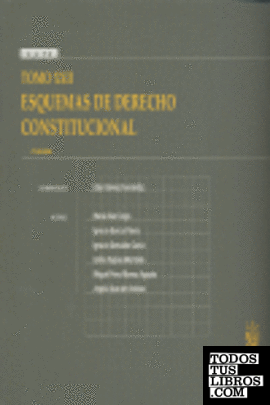 Tomo XXII Esquemas de Derecho Constitucional
