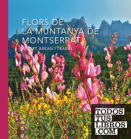 Flors de la muntanya de Montserrat