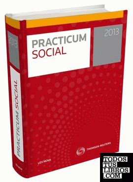 Practicum Social 2013