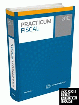 Practicum Fiscal 2013