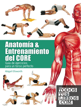 Anatomía & entrenamiento del CORE (color)