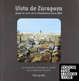 Vista de Zaragoza desde la torre de la Magdalena hacia 1864