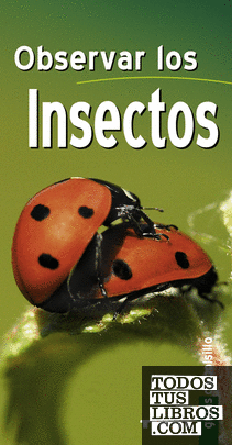 Observar los insectos