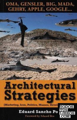 ARCHITECTURAL STRATEGIES