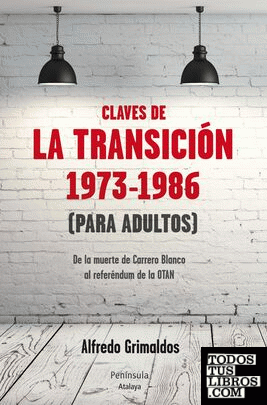 Claves de la transición 1973-1986 (Para adultos)