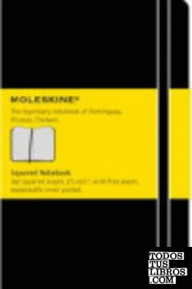 Moleskine squared notebook