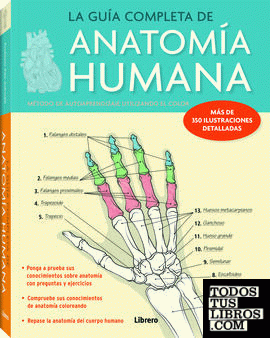 La guía completa de anatomía humana