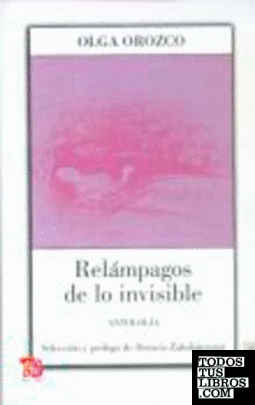 RELAMPAGOS DE LO INVISIBLE