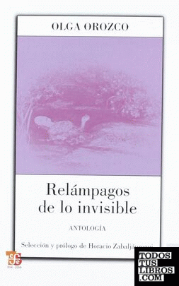 Relámpagos de lo invisible : Antología
