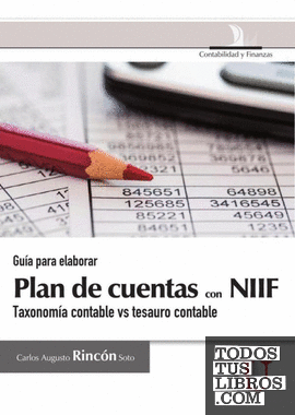 Guía para elaborar Plan de cuentas con NIIF, taxonomía contable vs tesauro conta