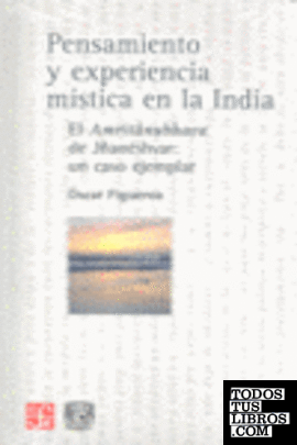 Pensamiento y experiencia mística en la India : El Amritânubhava de Jñanéshvar: un caso ejemplar
