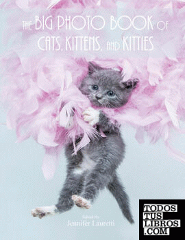 The Big Photo Book of Cats, Kittens, and Kitties
