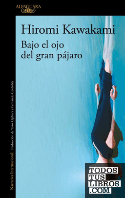 Bajo el ojo del gran pájaro