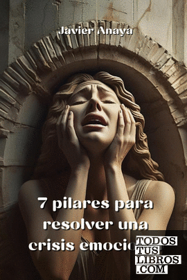 7 pilares para resolver una crisis  emocional